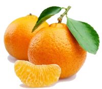 Mandarina - Sabores